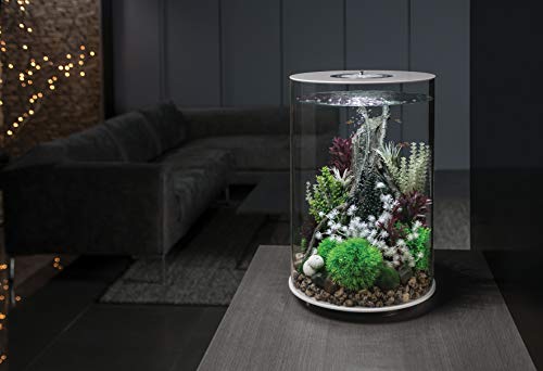 biOrb Tube LED Aquarium Acrylique, 30L