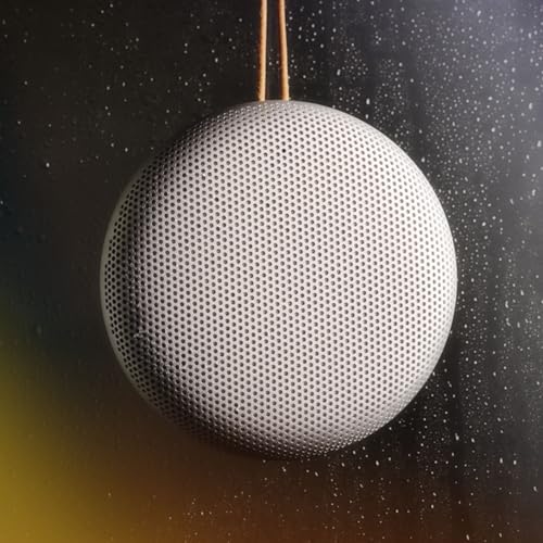 Bang & Olufsen Beosound A1 (2e Gén)