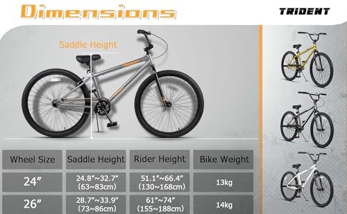 AVASTA Vélo BMX Freestyle 24"