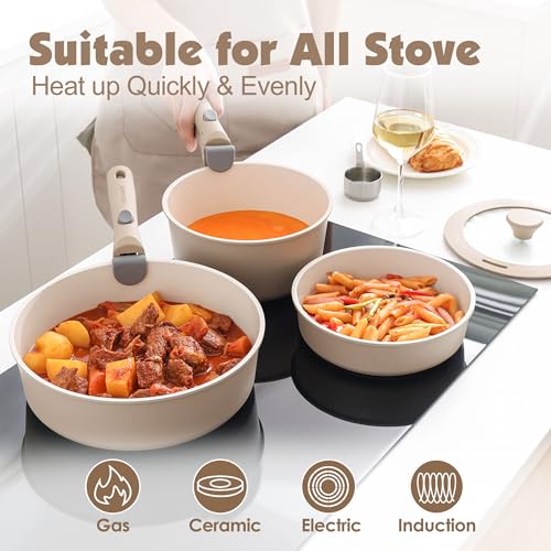 Sensarte Lot 17 Pièces Poêles et Casseroles Induction