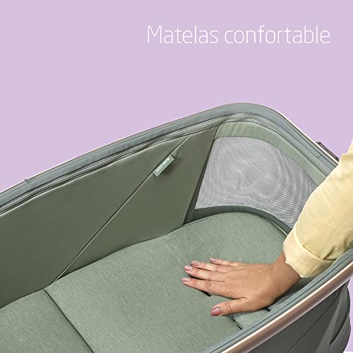 Maxi-Cosi Alba Berceau 3-en-1, Transat et Chaise Haute, Vert
