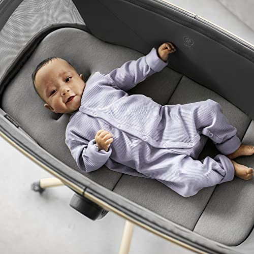 Maxi-Cosi Alba Berceau 3-en-1, Transat et Chaise Haute, Vert