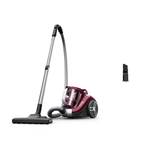 Rowenta Compact Power XXL Aspirateur sans sac 900W, 2,5L