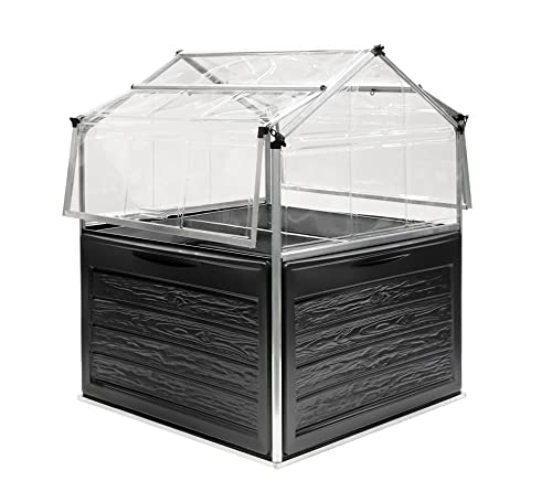 Canopia by Palram Serre de Jardin Plant Inn 1.4m², Argent
